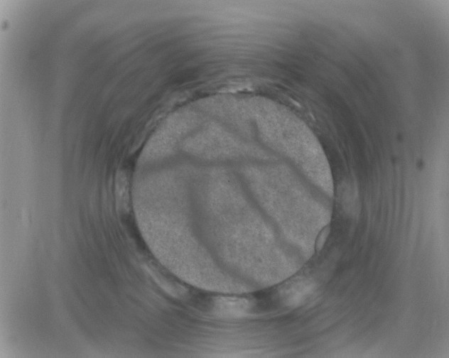 X0000082710234200702232304