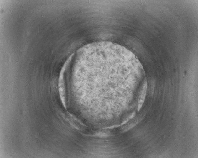 X0000082710236200702232304