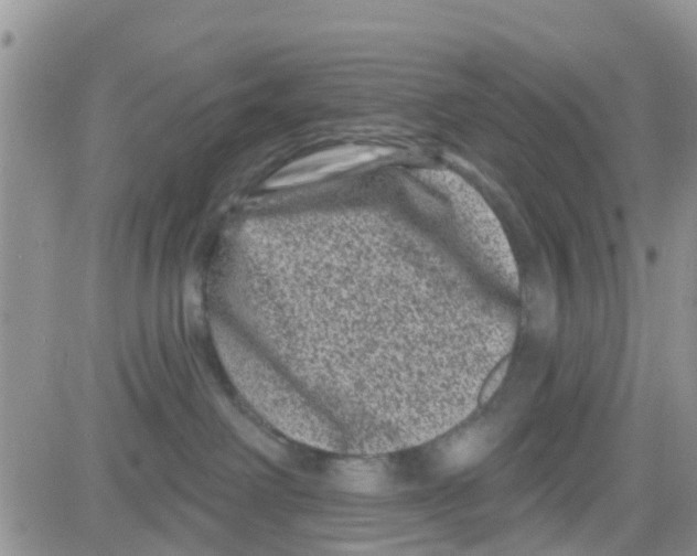 X0000082710238200702232304