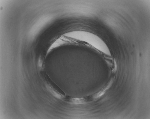 X0000082710239200702232304