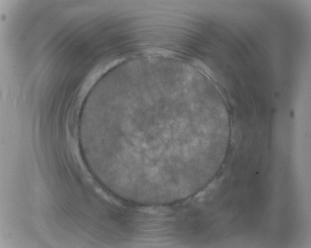 X0000082710241200702232303