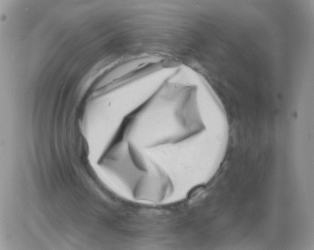 X0000082710242200702232303