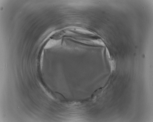 X0000082710243200702232303