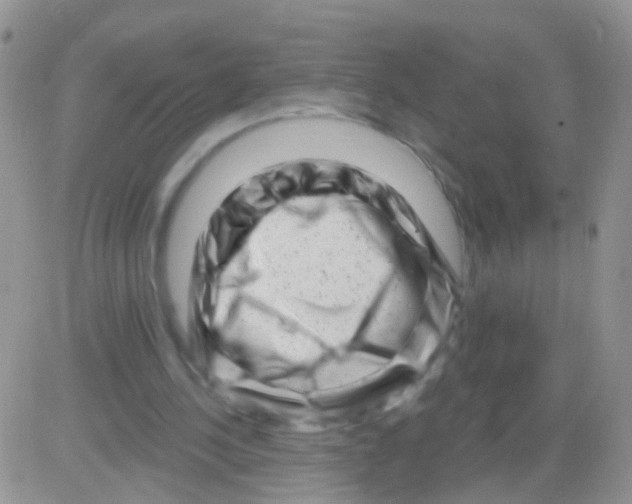 X0000082710244200702232303