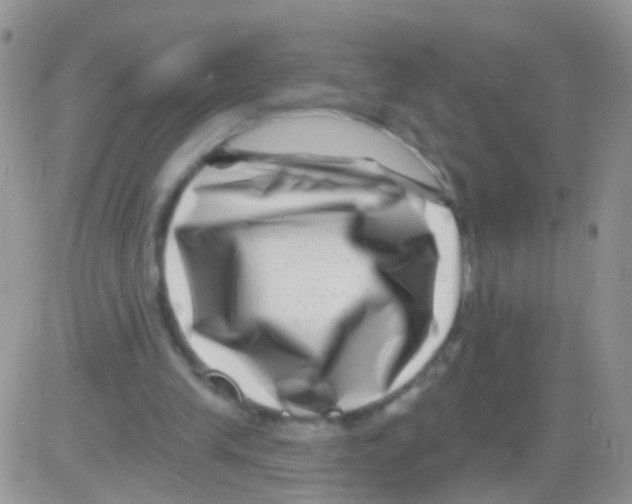 X0000082710245200702232303