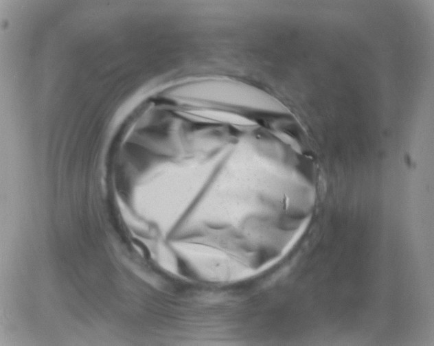 X0000082710246200702232303