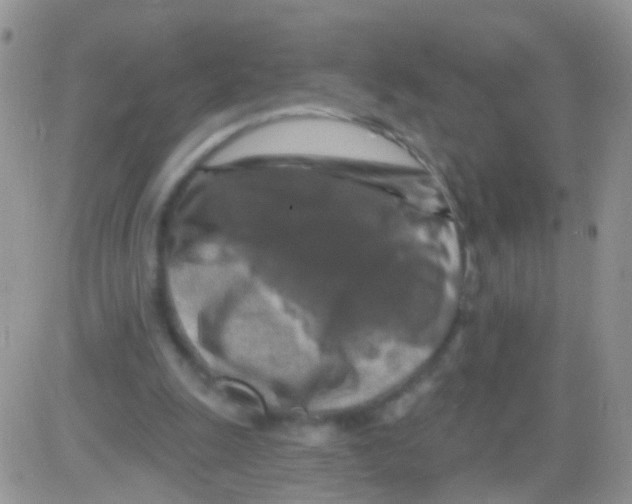 X0000082710247200702232303