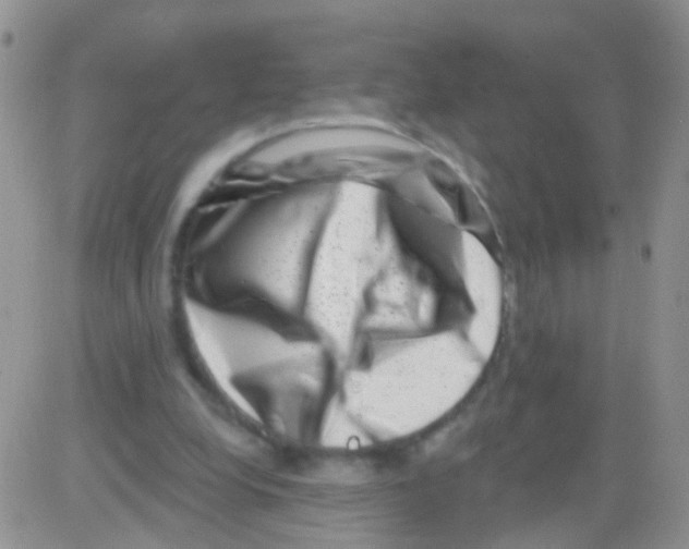 X0000082710248200702232303