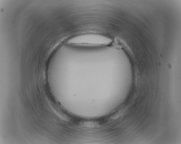 X0000082710251200702232303