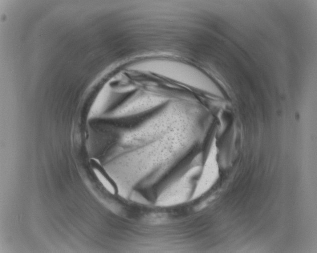 X0000082710252200702232303