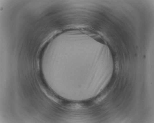 X0000082710254200702232303