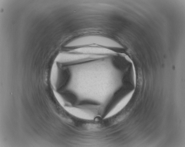 X0000082710255200702232303