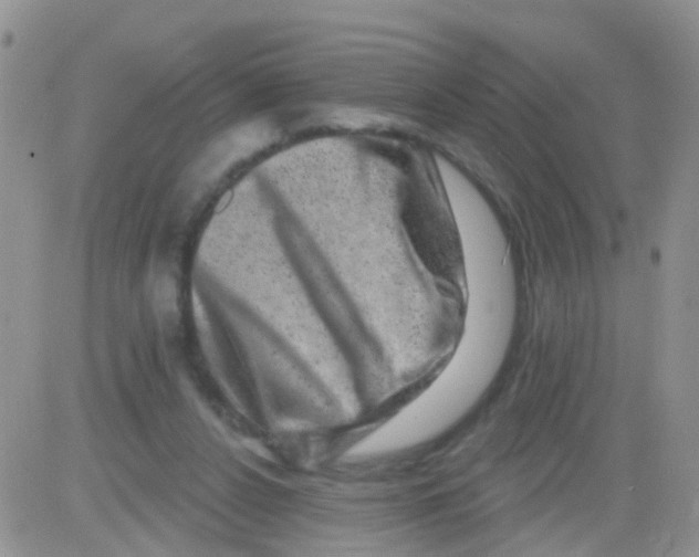 X0000082710256200702232303