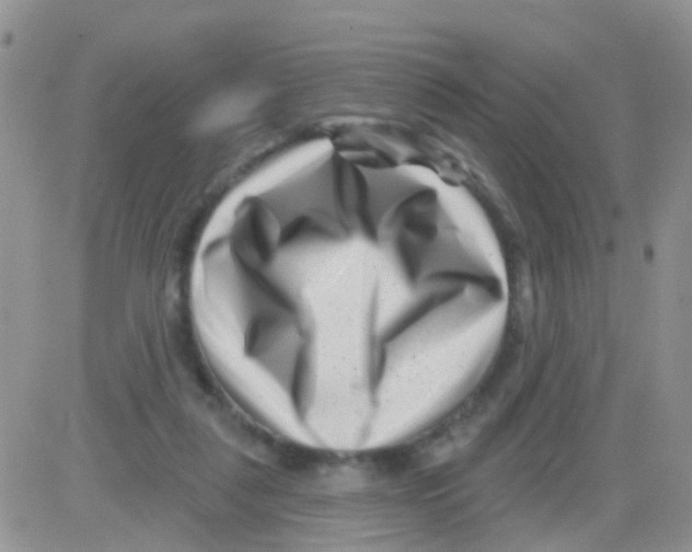 X0000082710259200702232303