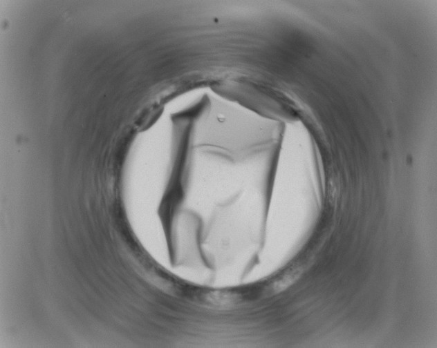 X0000082710261200702232303