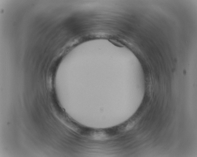 X0000082710262200702232303