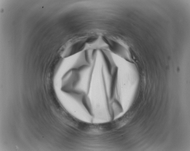 X0000082710263200702232303