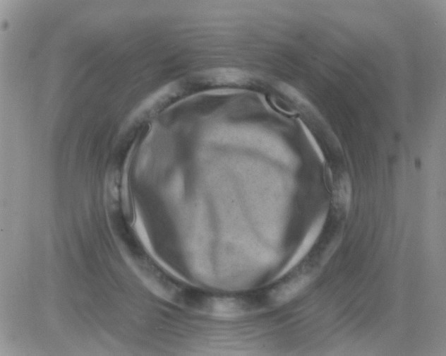 X0000082710264200702232303