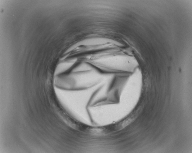 X0000082710265200702232303