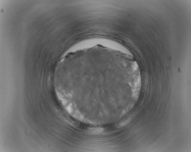 X0000082710266200702232303