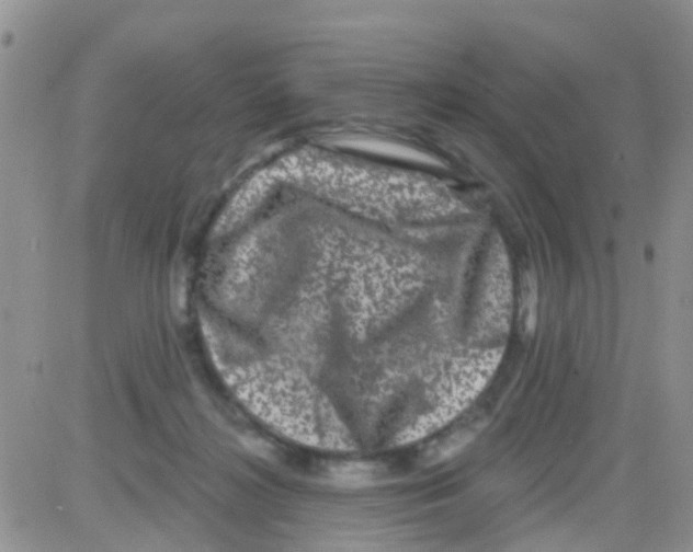 X0000082710268200702232303