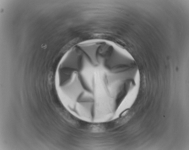 X0000082710275200702232303