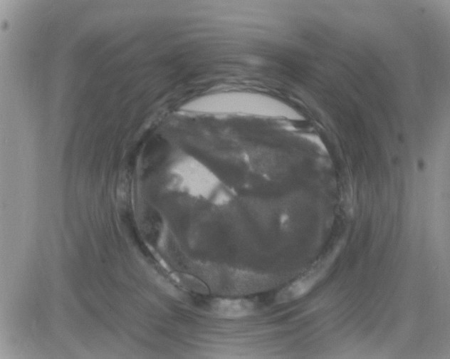 X0000082710277200702232304