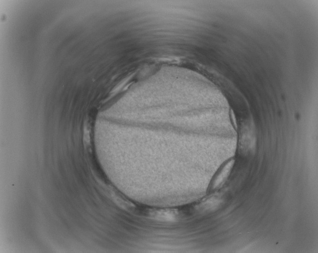 X0000082710282200702232304