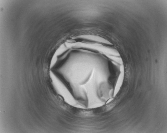 X0000082710283200702232304