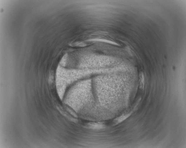 X0000082710284200702232304