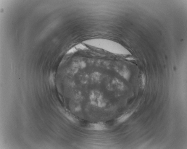 X0000082710286200702232304