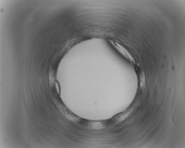 X0000082710287200702232304