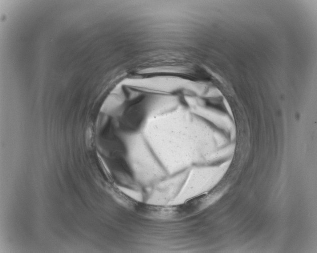 X0000082710288200702232304