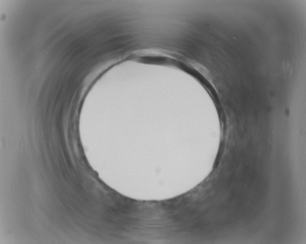 X0000082710289200702232303