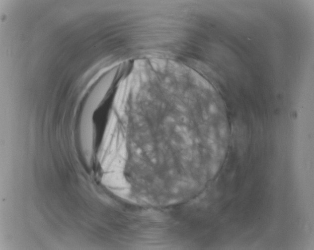 X0000082710290200702232303