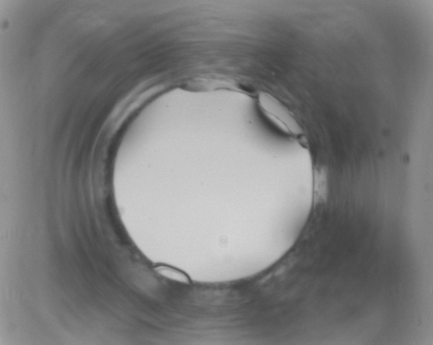 X0000082710291200702232303