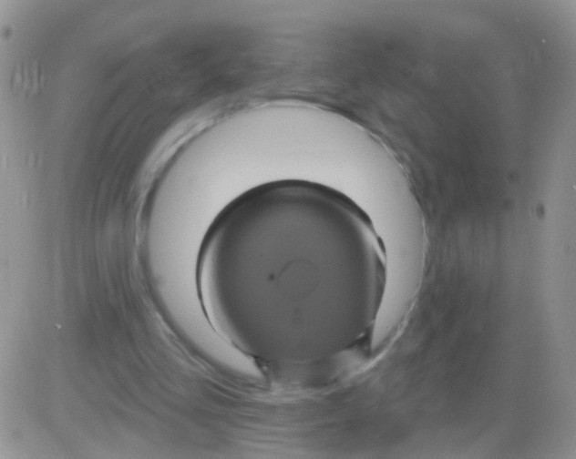 X0000082710293200702232303