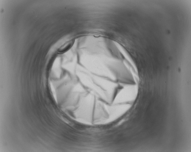 X0000082710294200702232303