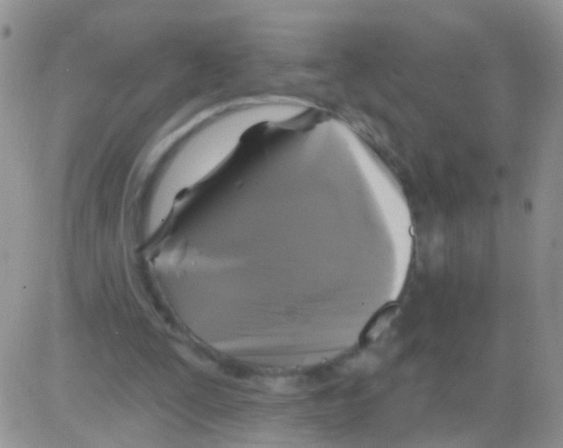 X0000082710295200702232303