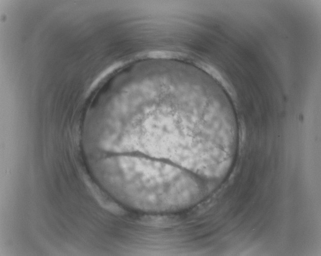 X0000082710297200702232303