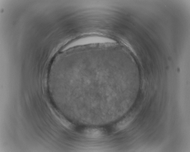 X0000082710299200702232303