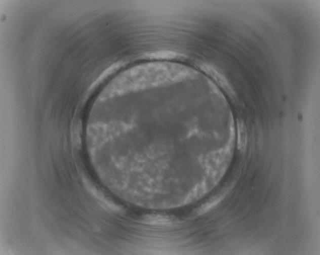 X0000082710300200702232303