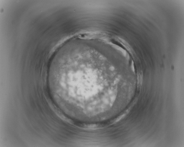 X0000082710301200702232303