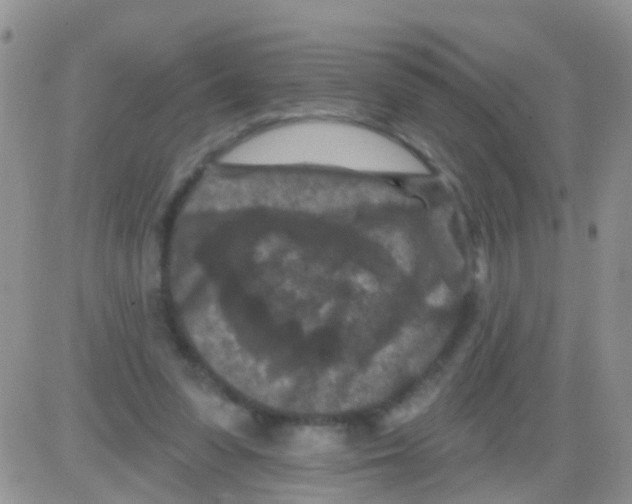 X0000082710303200702232303