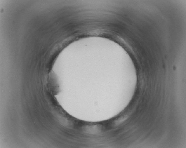 X0000082710307200702232303