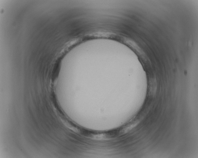 X0000082710309200702232303