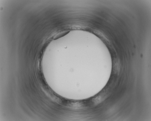 X0000082710310200702232303