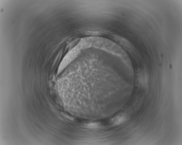 X0000082710312200702232303