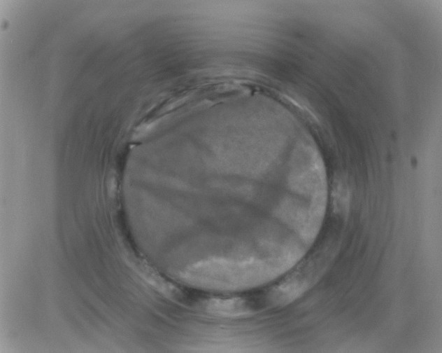 X0000082710314200702232302