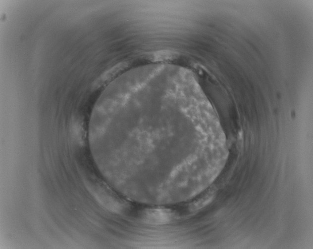 X0000082710316200702232302